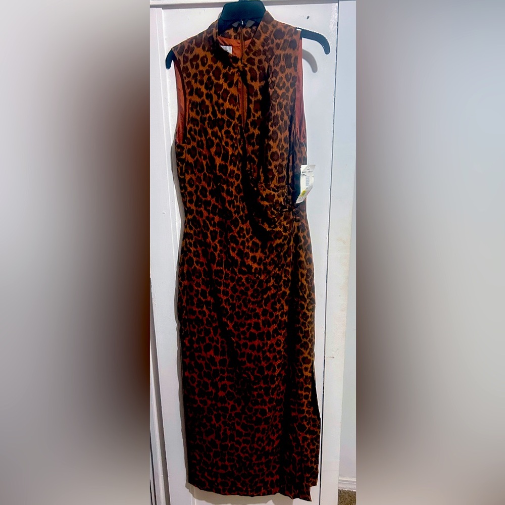 Leopard Print Maxi Dress with Mock Neck